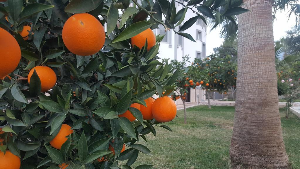 Green Garden Otel Kemer Exterior photo